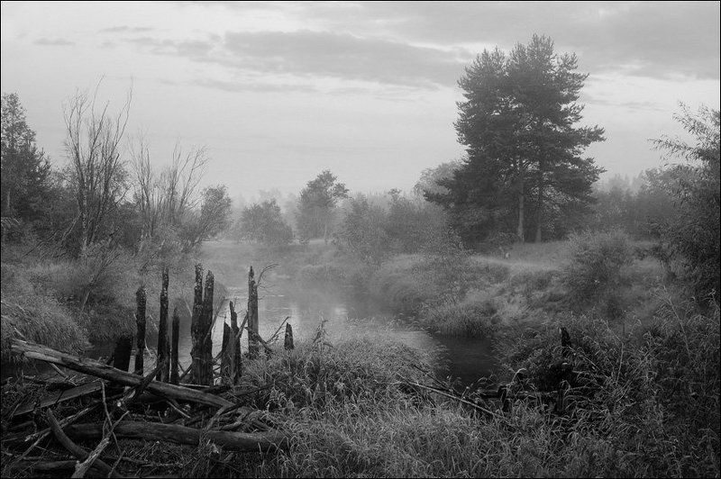 Поздневечерняя чб картинка с руинами моста и сосной вдали фото превью