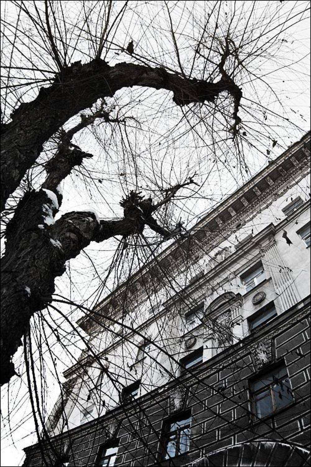 сталинка, Самолинов Андрей