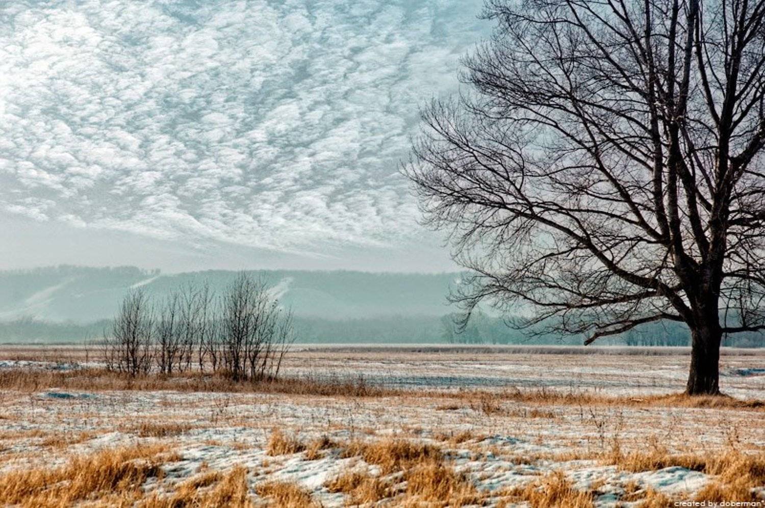 , Денис Богомолов