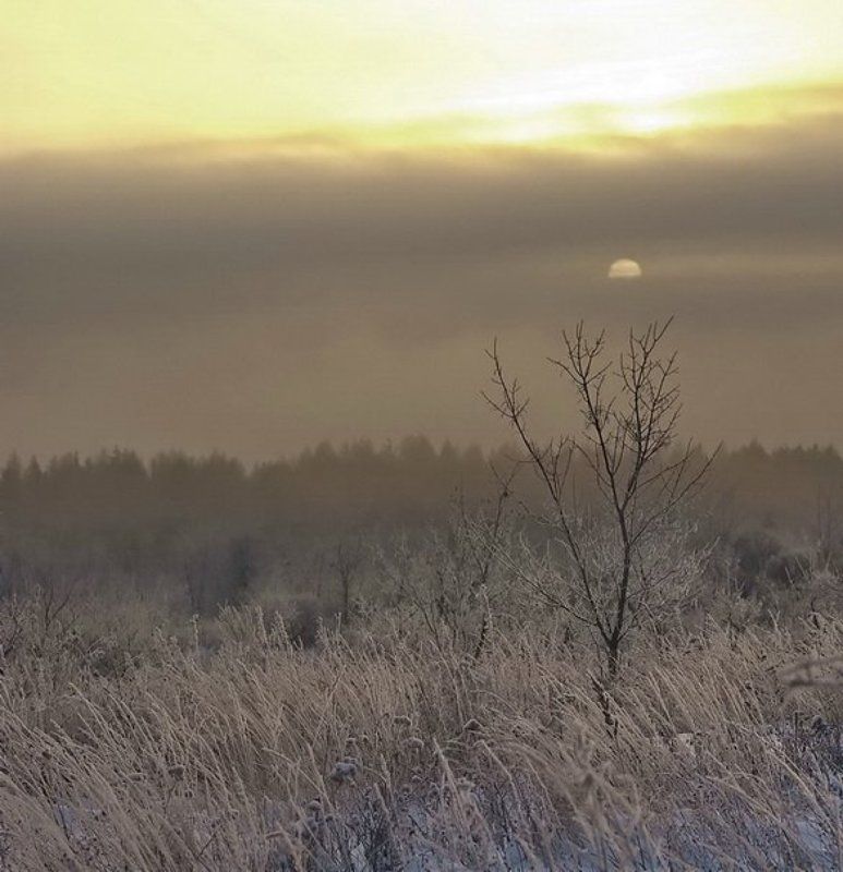 зима фото превью