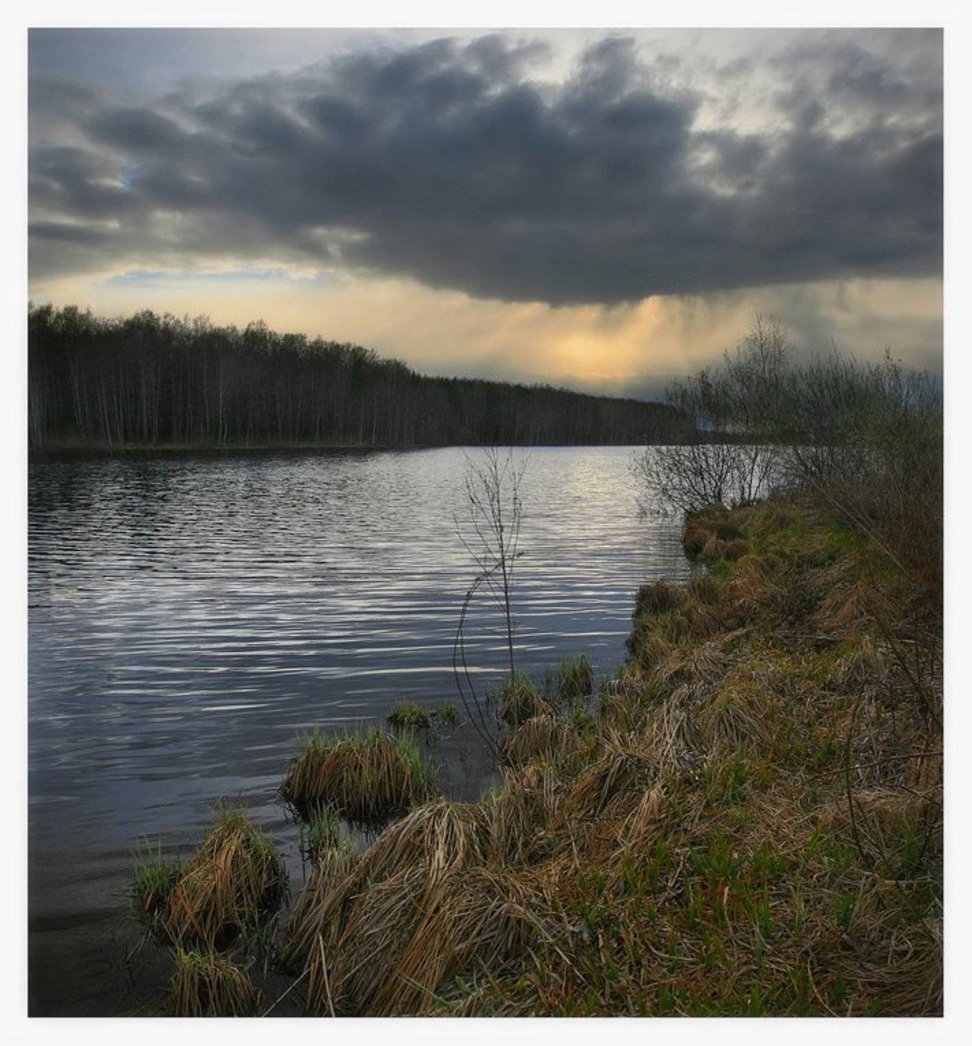 , Сергей Прокошин