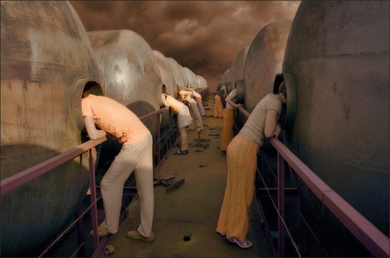 ферма, плюк, чатлане, оранжевые, штаны, 0210-24 Ферма на планете Плюк фото превью