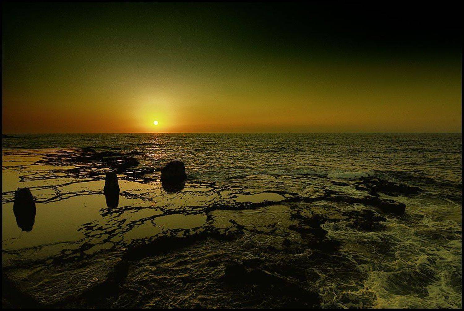 , Alexander Tolchinskiy