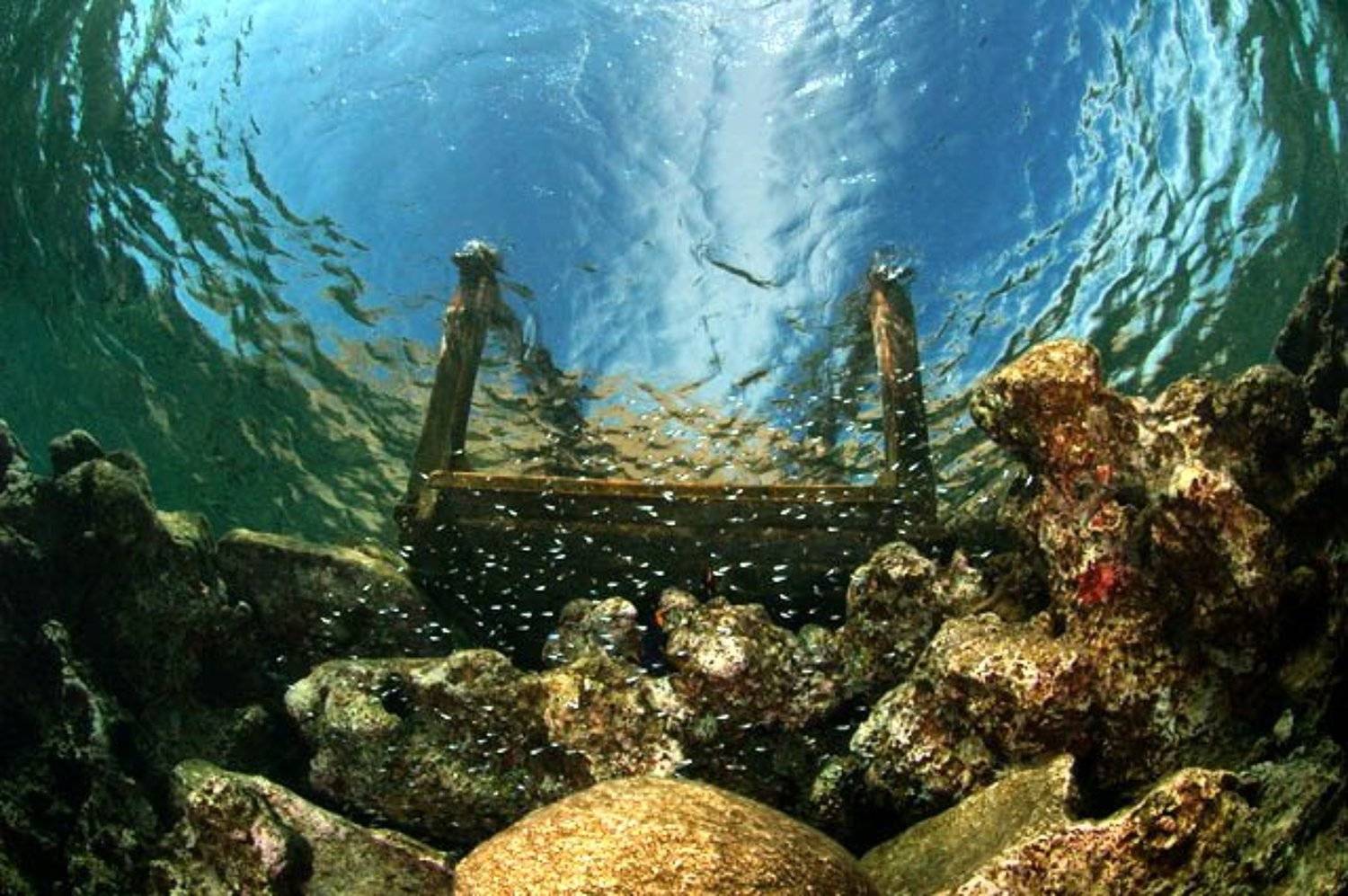 море,мостик,пейзаж, Svetlana Nosova