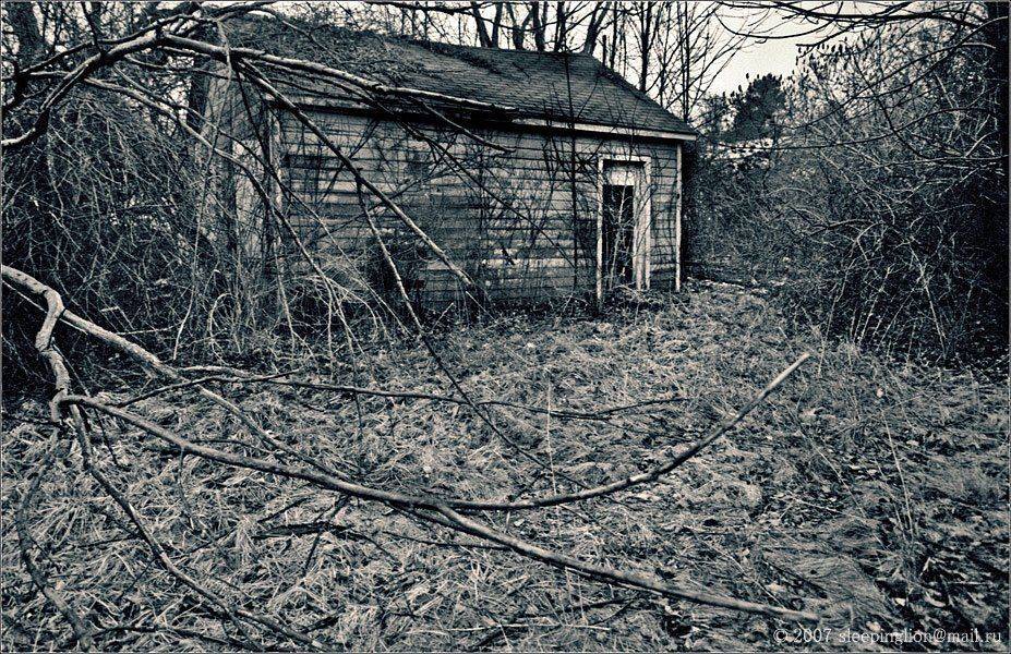 пейзаж, пленка, 35 мм, pilgrim, раздельное тонирование, canon eos 10s, Pilgrim