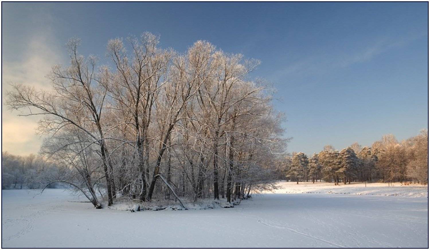 , Борис Каторгин