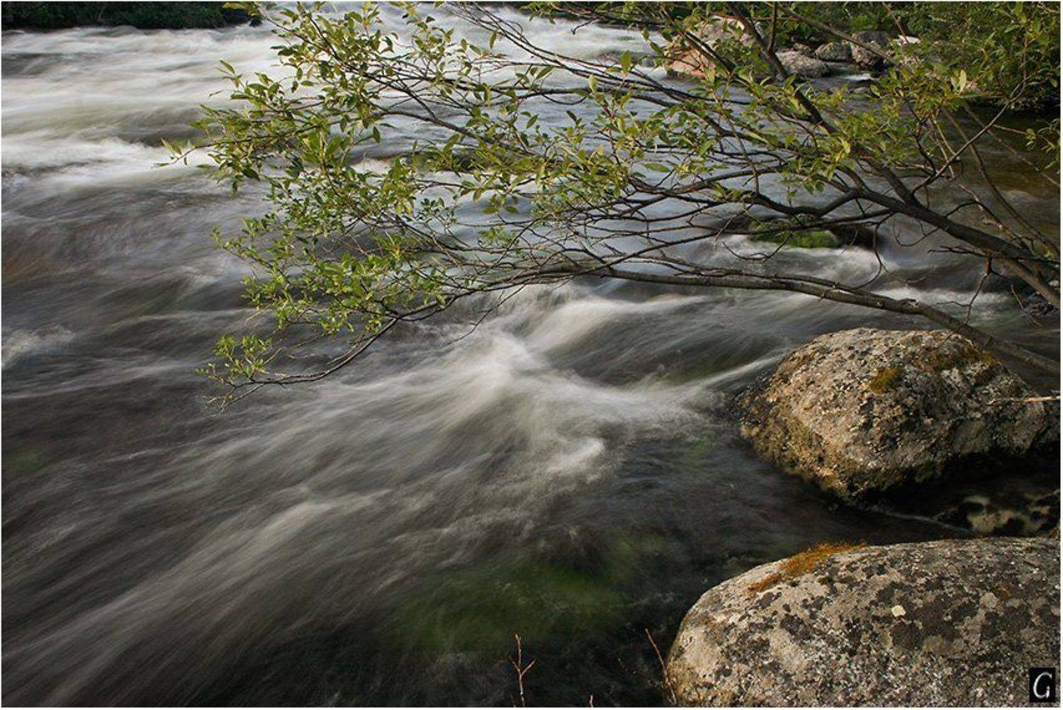 кольский, колвица, ветка, течение, пороги, Gorshkov Igor_Feanorus