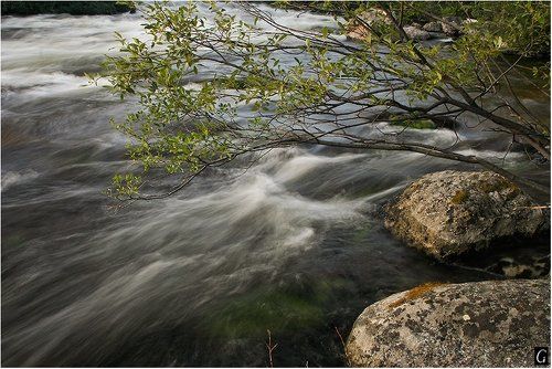 Колвицкие этюды.