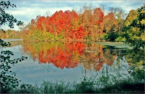 Значит скоро зима...