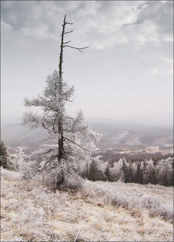 зима, снег, горы, ель, сыростан, урал Дыхание севера #2 фото превью