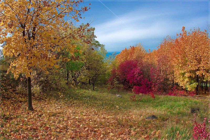 Natur Colors фото превью