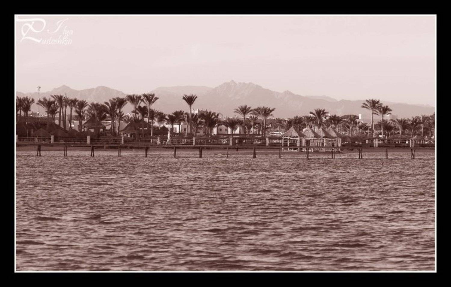 остров, мечты, Пустошкин Илья