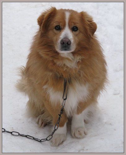 А в глазах грусть...