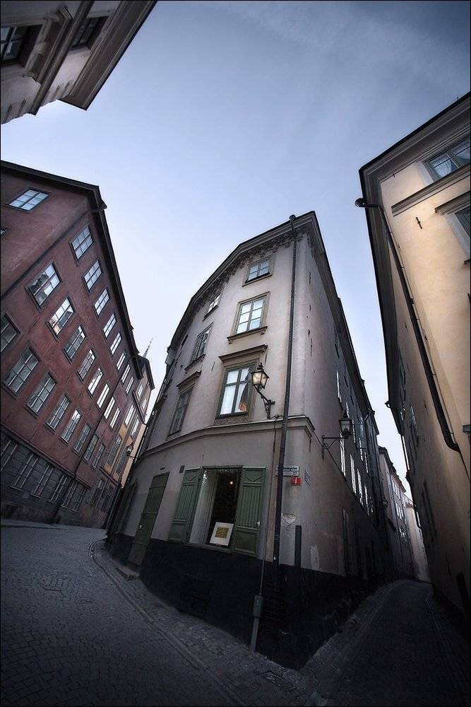 , rAdis (Дмитрий Станякин)