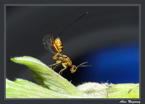Ручками потопали, ножками похлопали! :)