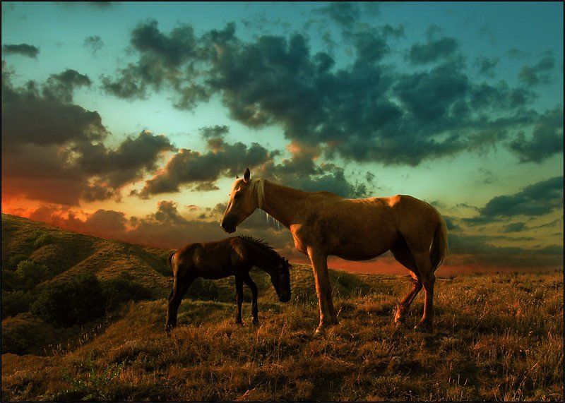 Вечерняя палитра для двоих фото превью