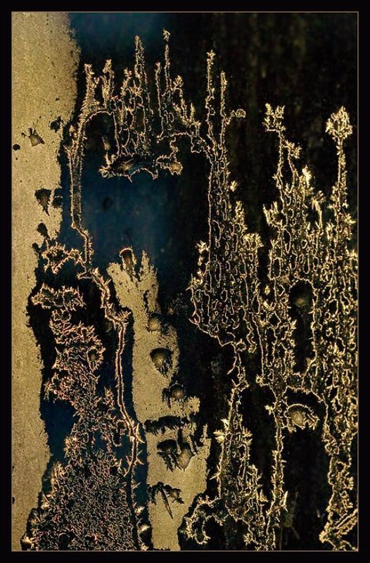 FrostBook (5) фото превью