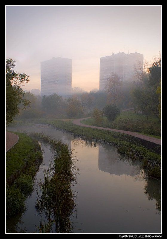 Городские джунгли фото превью