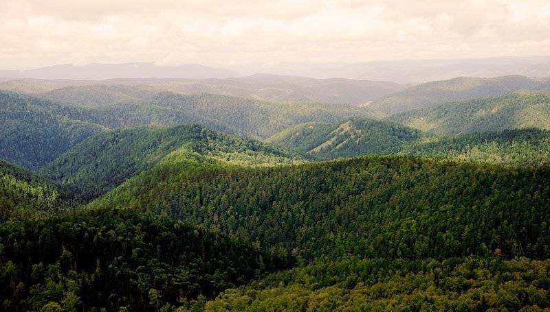 , Дмитрий Плотникофф