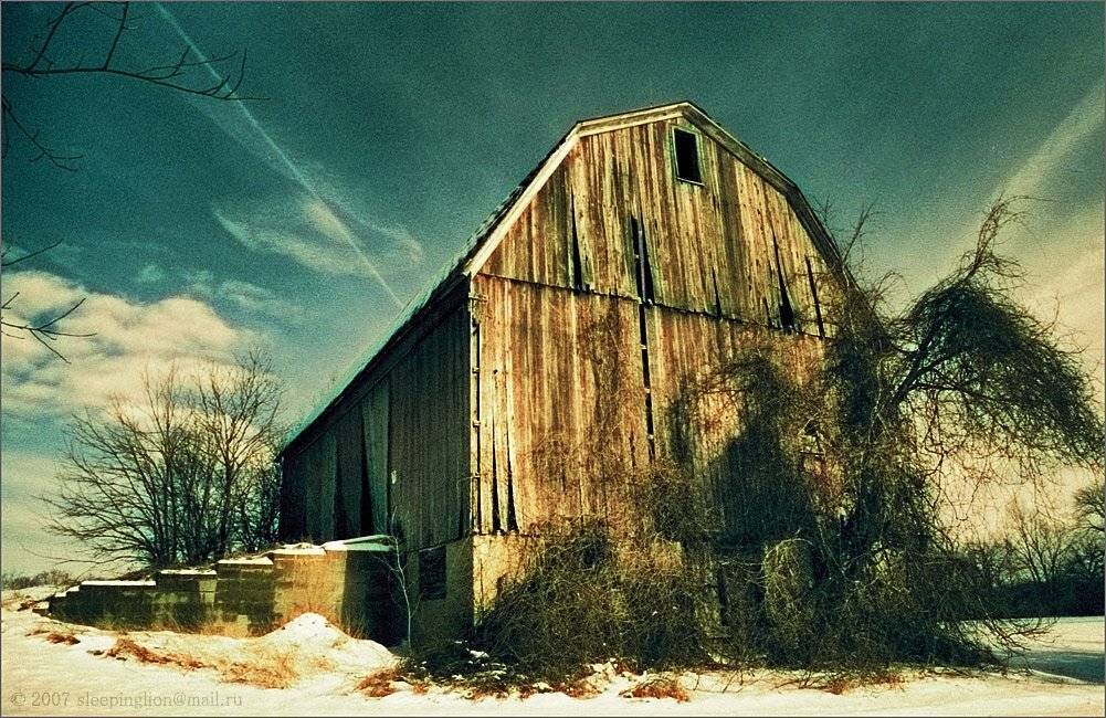 пейзаж, зима, снег, pilgrim, пленка, 35 мм, canon eos 1, Pilgrim