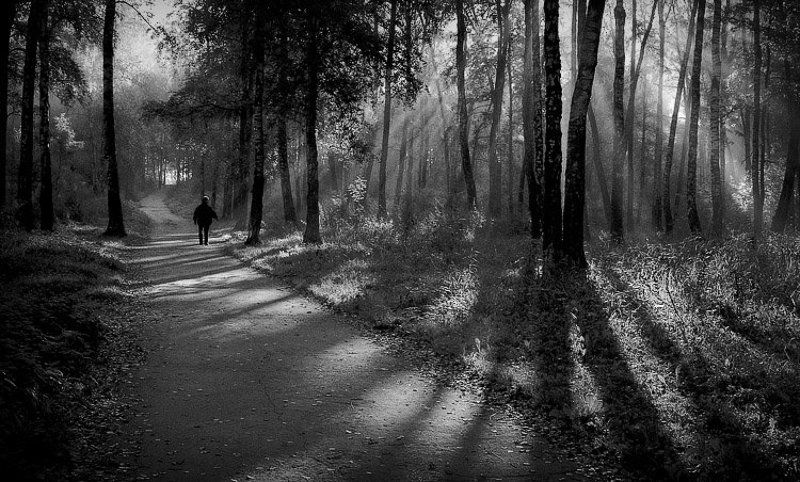 путь никуда тропа свет туман утро человек На пол-пути... в никуда... фото превью