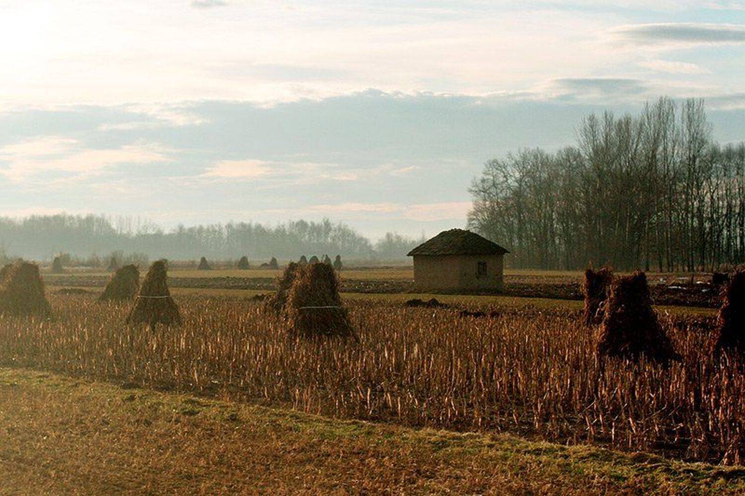 сербия, поля, сено, Mia