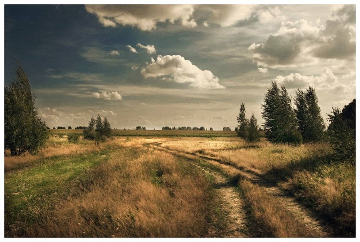 лето,россия,солнце,небо,свобода, Артём