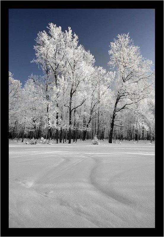 природа фото превью