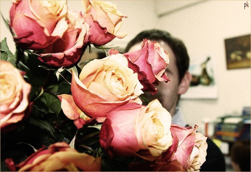 roses, розы, романтика, цвета Roses фото превью