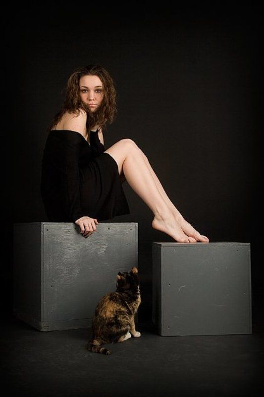 две,кошки Кошки... фото превью