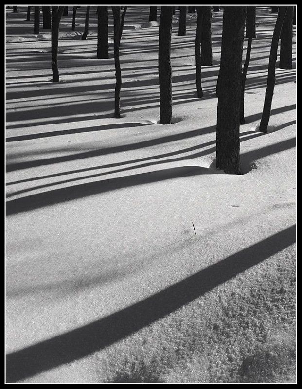 /// фото превью