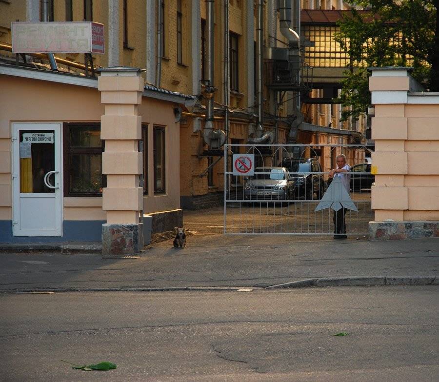 ;fyh? ujhjl, Ева Джишиашвили