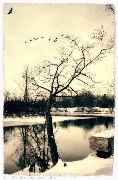 пейзаж, зима, река, снег, pilgrim, пленка, 35 мм, canon eos-1, Pilgrim