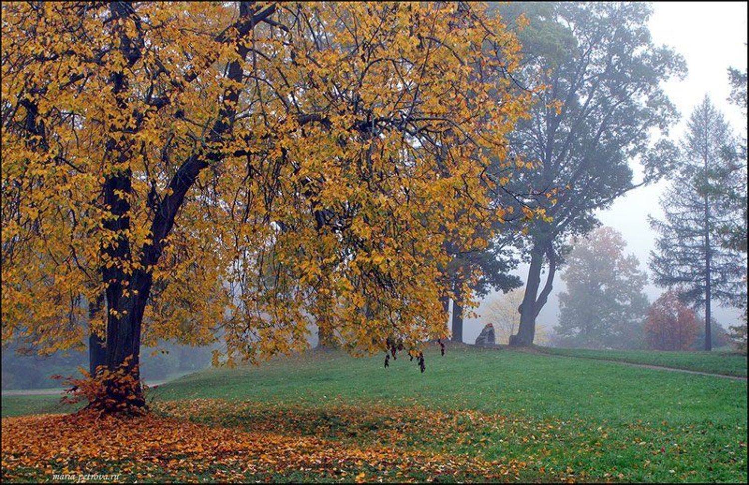 пейзаж, Петрова Мария