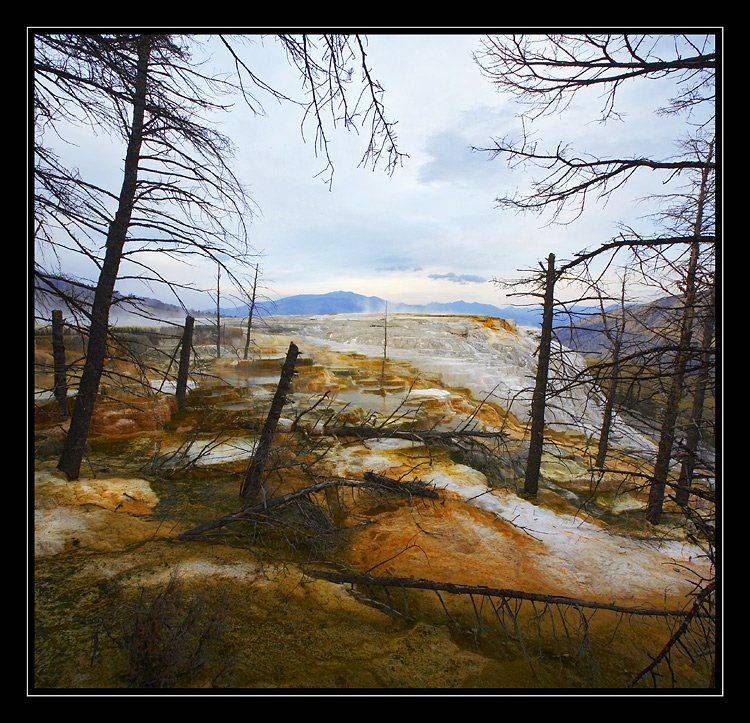 , Vadim Balakin