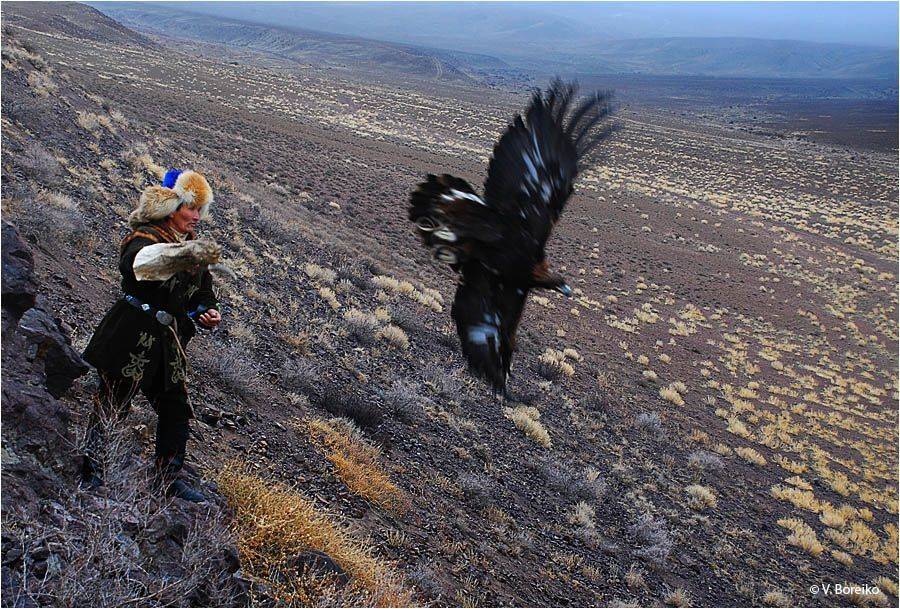 беркутчи, Вадько