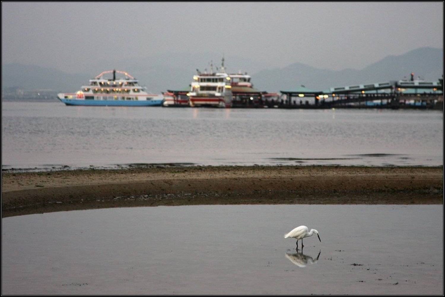 япония, миядзима, море, цапля, Gemini