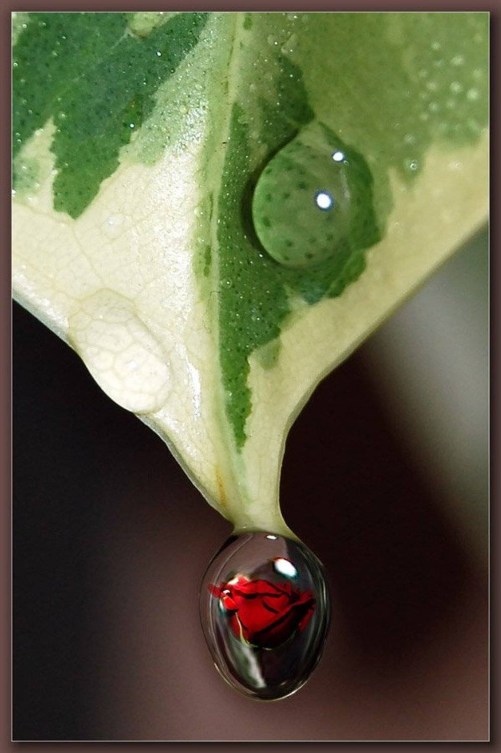 , Сергей Зверев