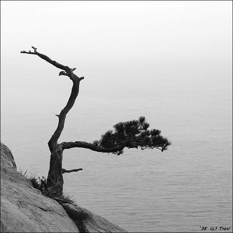 крым  фото превью