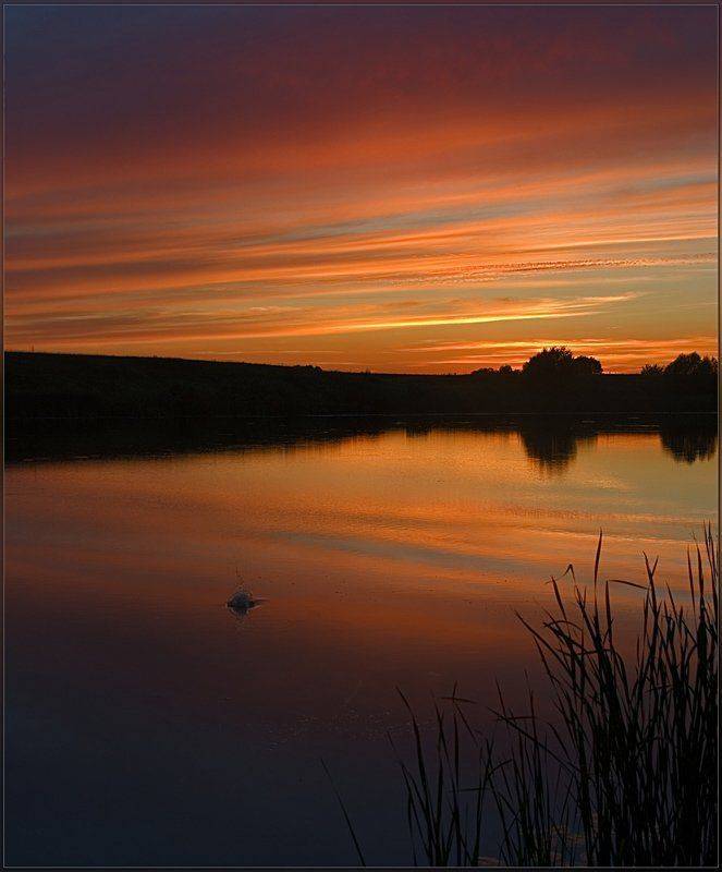 лето, вечер, озеро, облака, отражения, Partner