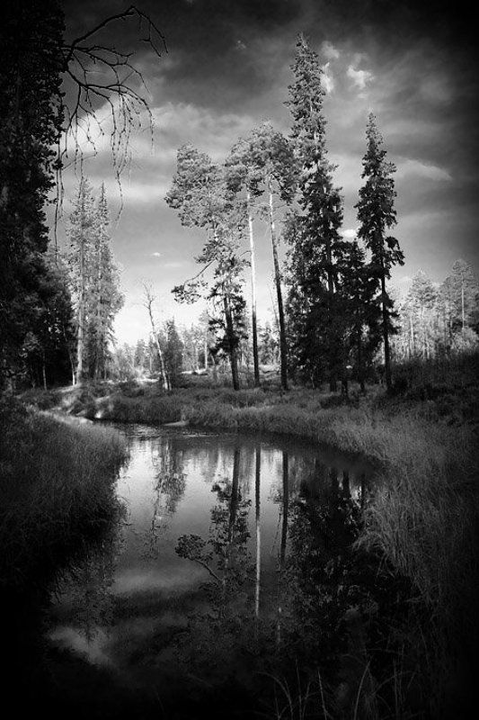 из, сказки  фото превью