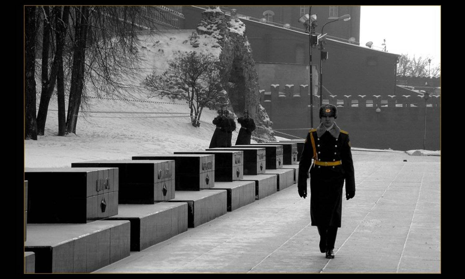 москва вечный огонь смена караула, Владимир Эделев