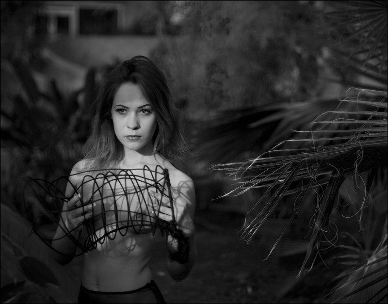 A&G aquarel & graphic фото превью