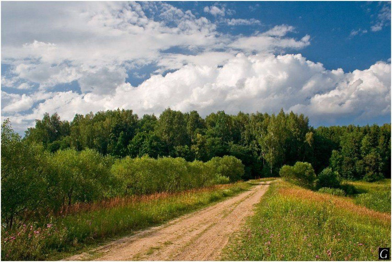 талашкино, лето, дорога, небо, Gorshkov Igor_Feanorus