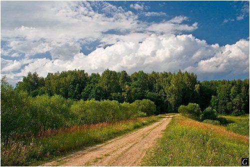 Летний пейзаж с дорогой