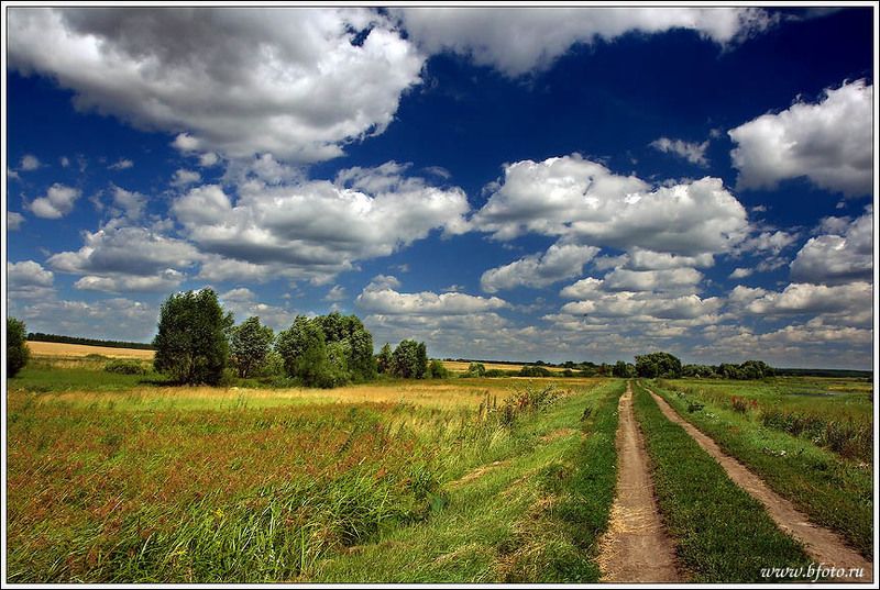 лето, природа, пейзаж, картина, трава, дорога, облака Летняя картина фото превью