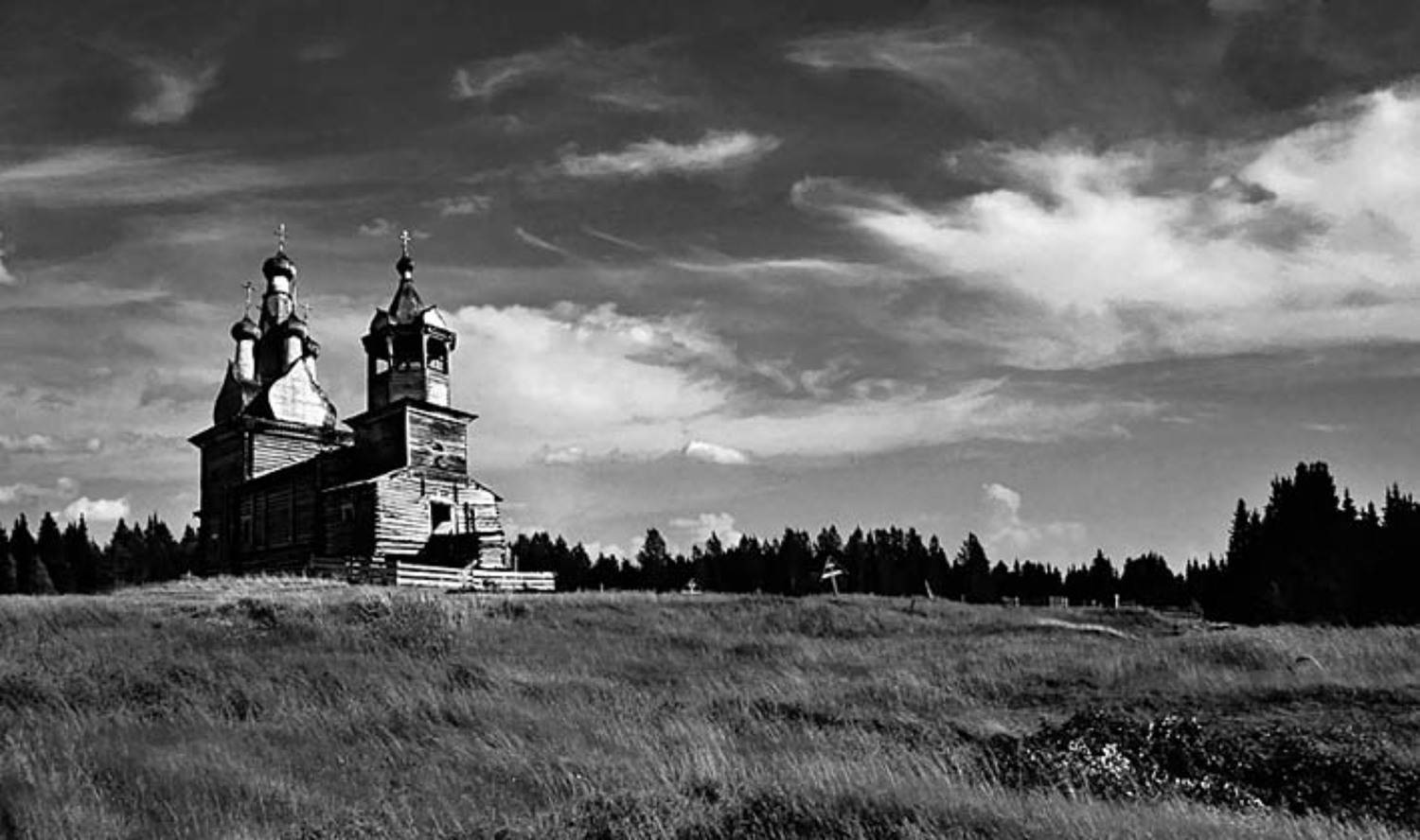 и, тропа, заросла, Светлана Глушко