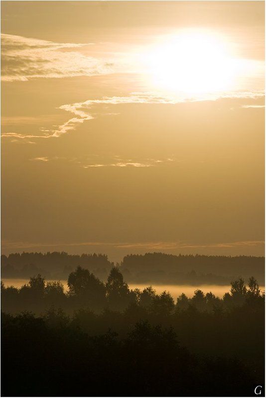 талашкино, рассвет, солнце, даль, туман Громкая песнь утреннего солнца! фото превью