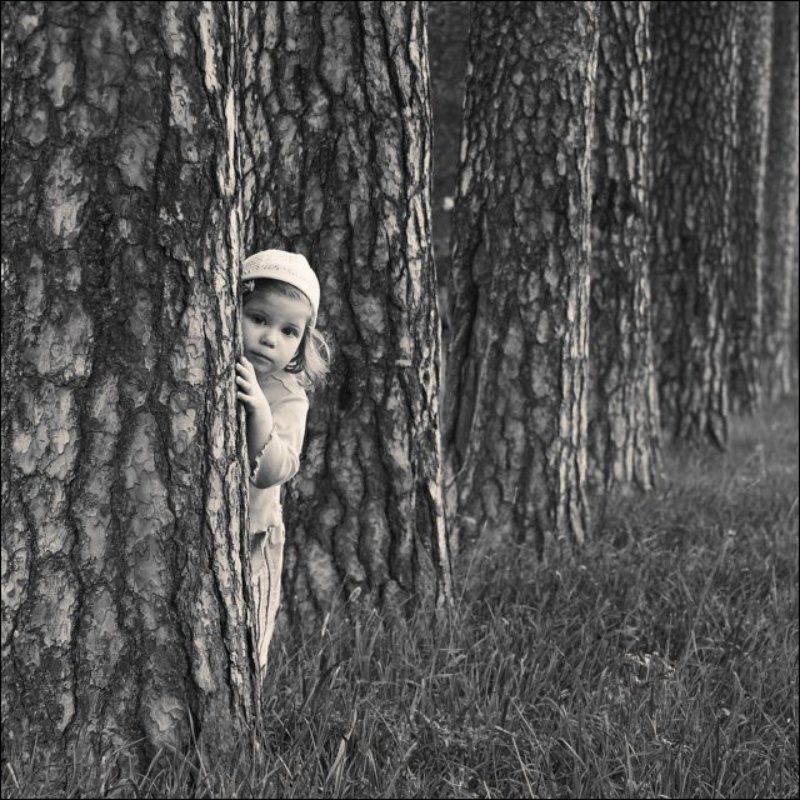 Квадратный семейный портрет с соснами фото превью