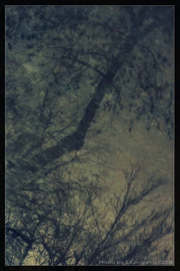 депрессивная зеленая погода, Сергей